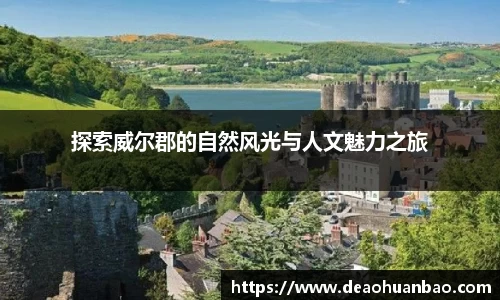 mk体育注册
